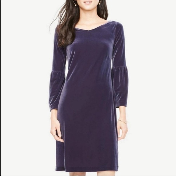 NWT Ann Taylor Dress Velvet Bell Lantern Sleeve V-Neck Shift Purple Blue Classic - Picture 1 of 12